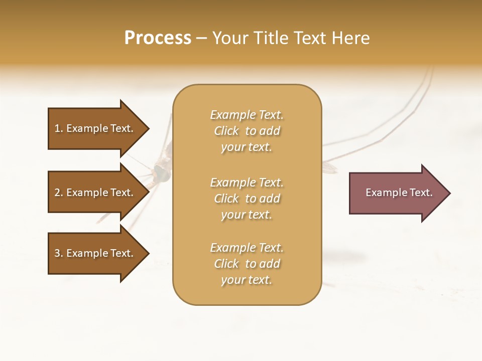 A Mosquito On A White Surface With The Words Name Of Presentation PowerPoint Template