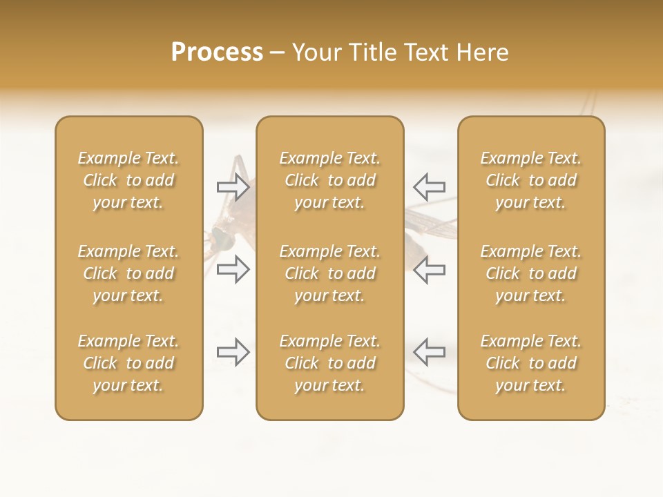 A Mosquito On A White Surface With The Words Name Of Presentation PowerPoint Template