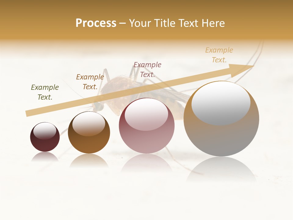 A Mosquito On A White Surface With The Words Name Of Presentation PowerPoint Template