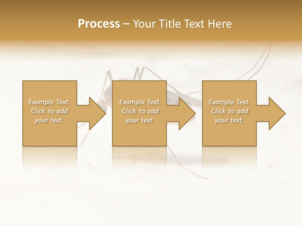 A Mosquito On A White Surface With The Words Name Of Presentation PowerPoint Template