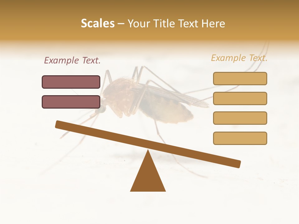 A Mosquito On A White Surface With The Words Name Of Presentation PowerPoint Template