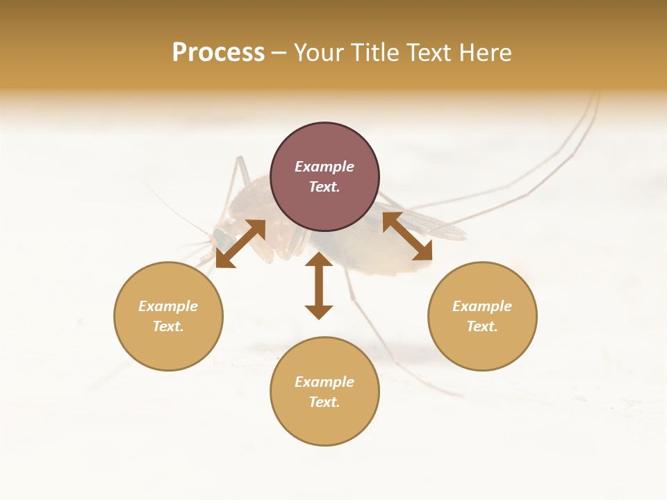 A Mosquito On A White Surface With The Words Name Of Presentation PowerPoint Template