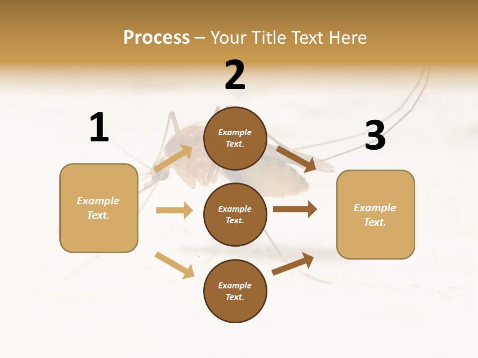 A Mosquito On A White Surface With The Words Name Of Presentation PowerPoint Template