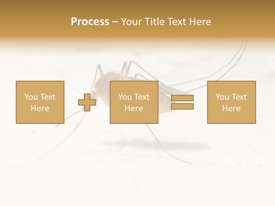 A Mosquito On A White Surface With The Words Name Of Presentation PowerPoint Template