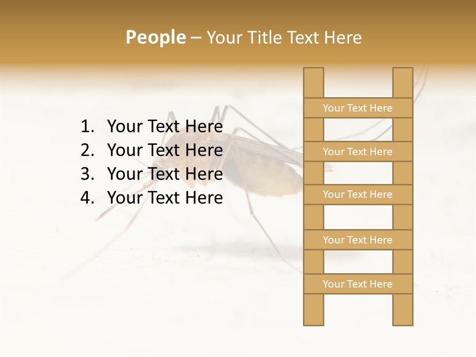 A Mosquito On A White Surface With The Words Name Of Presentation PowerPoint Template
