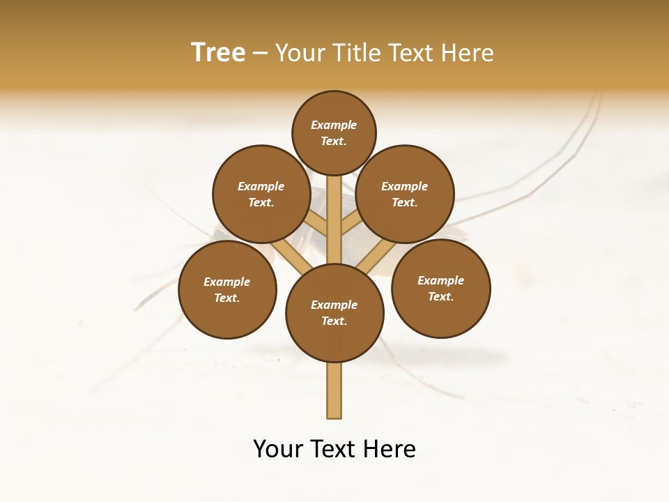 A Mosquito On A White Surface With The Words Name Of Presentation PowerPoint Template