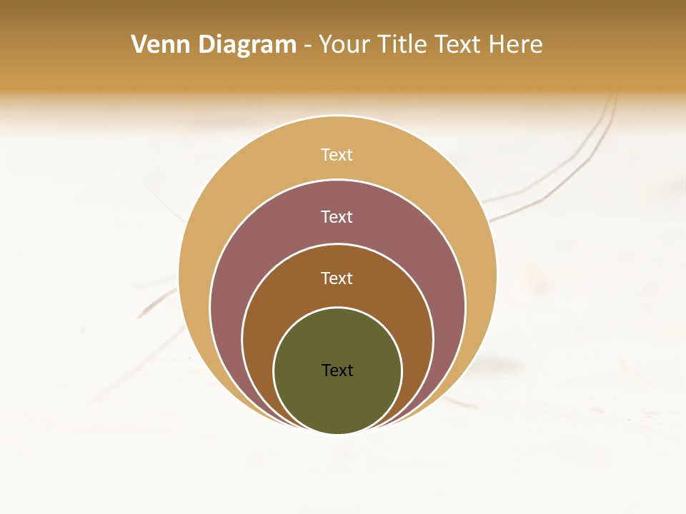 A Mosquito On A White Surface With The Words Name Of Presentation PowerPoint Template