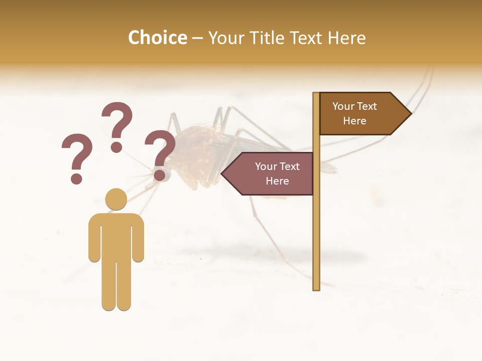 A Mosquito On A White Surface With The Words Name Of Presentation PowerPoint Template