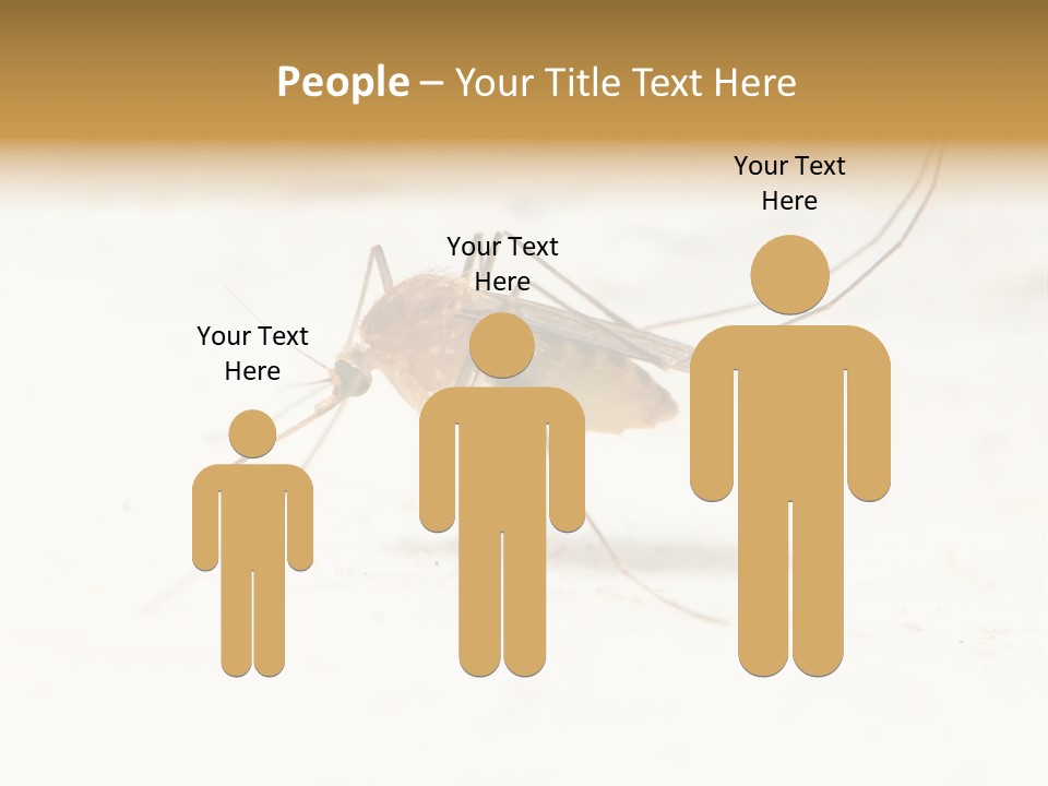 A Mosquito On A White Surface With The Words Name Of Presentation PowerPoint Template