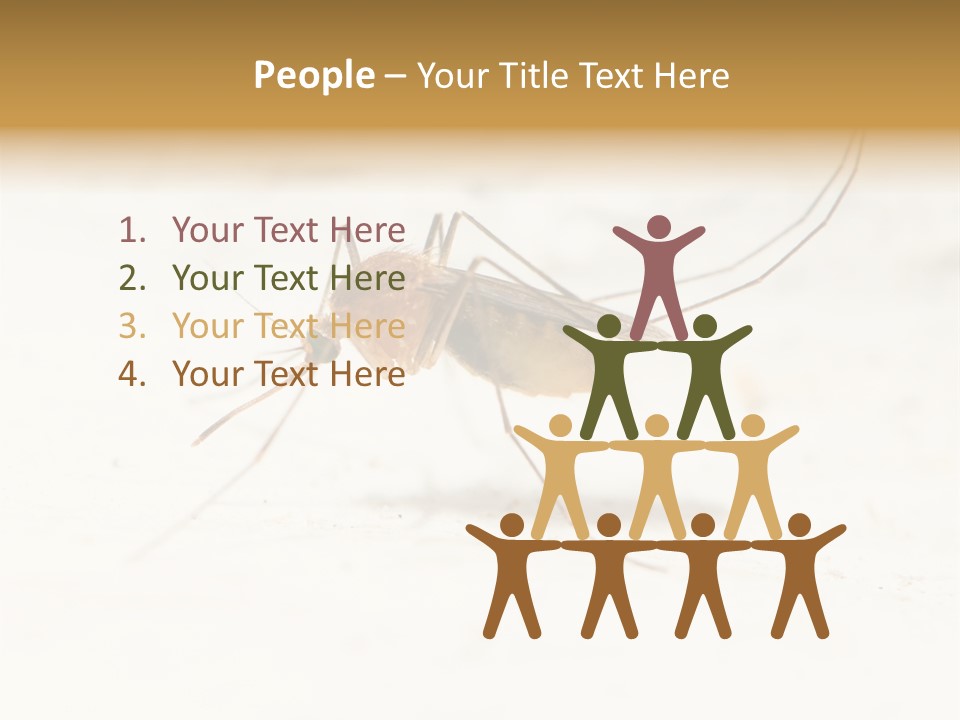 A Mosquito On A White Surface With The Words Name Of Presentation PowerPoint Template