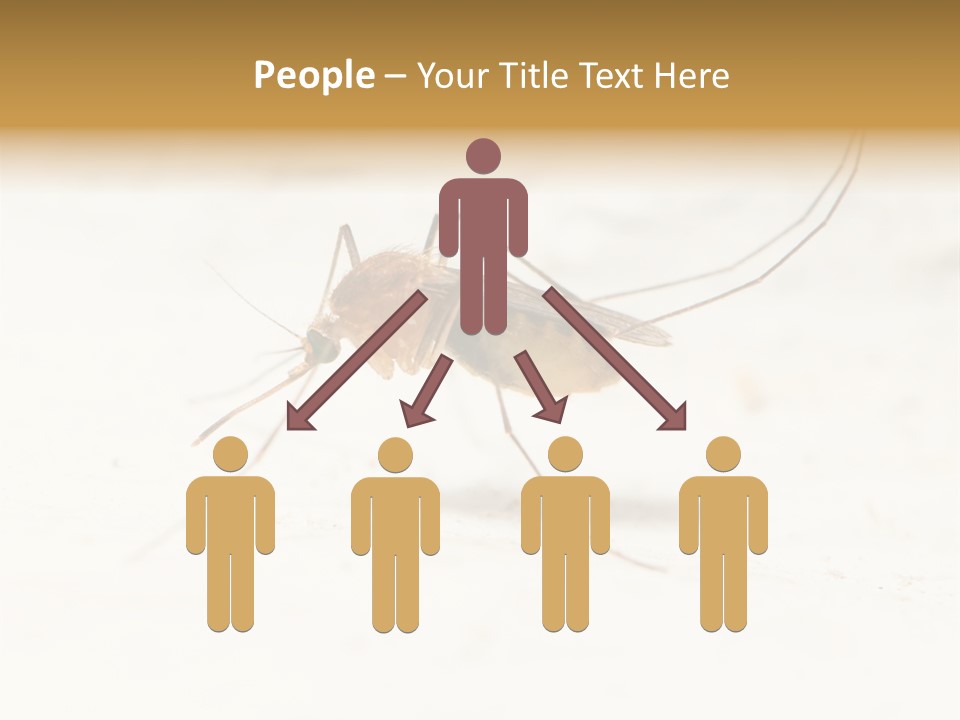 A Mosquito On A White Surface With The Words Name Of Presentation PowerPoint Template