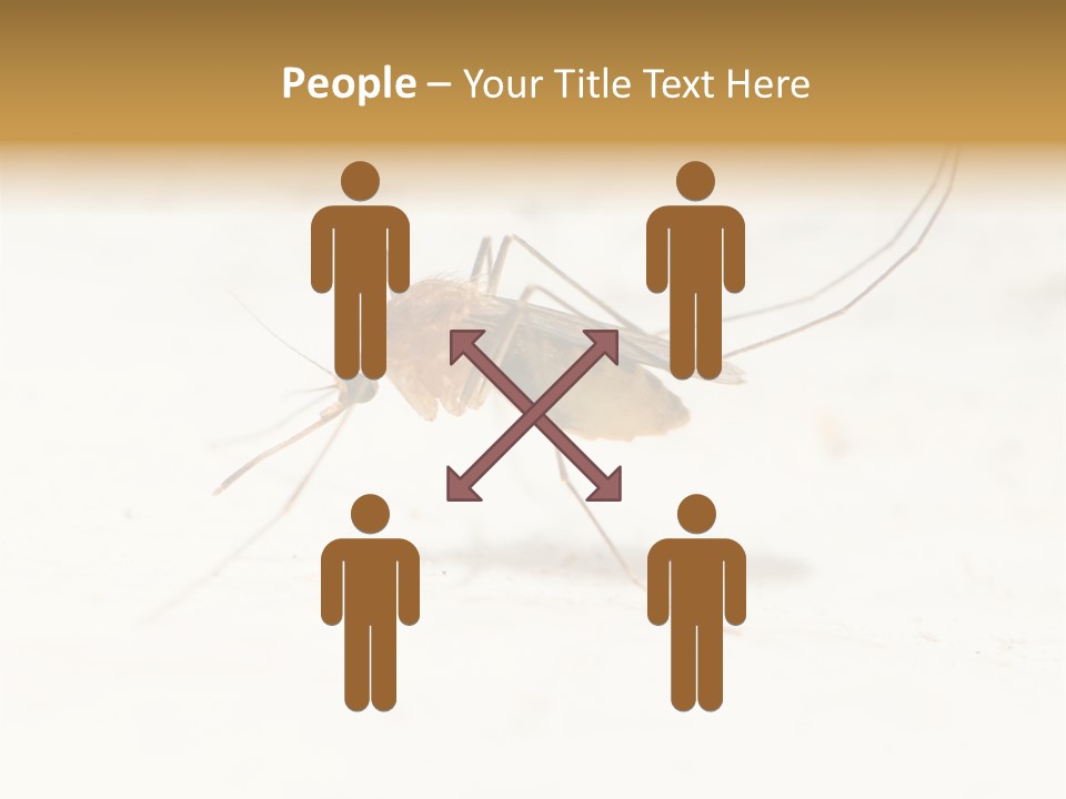 A Mosquito On A White Surface With The Words Name Of Presentation PowerPoint Template