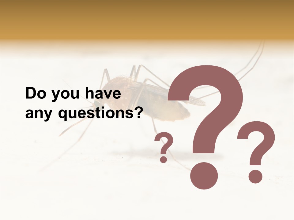 A Mosquito On A White Surface With The Words Name Of Presentation PowerPoint Template