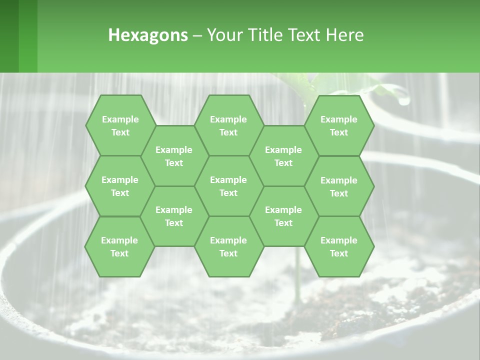 A Plant Sprouting From A Pot With Rain Coming From It PowerPoint Template