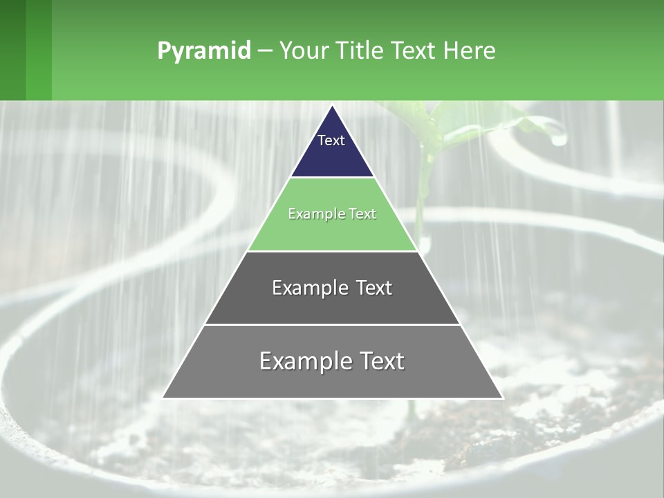 A Plant Sprouting From A Pot With Rain Coming From It PowerPoint Template
