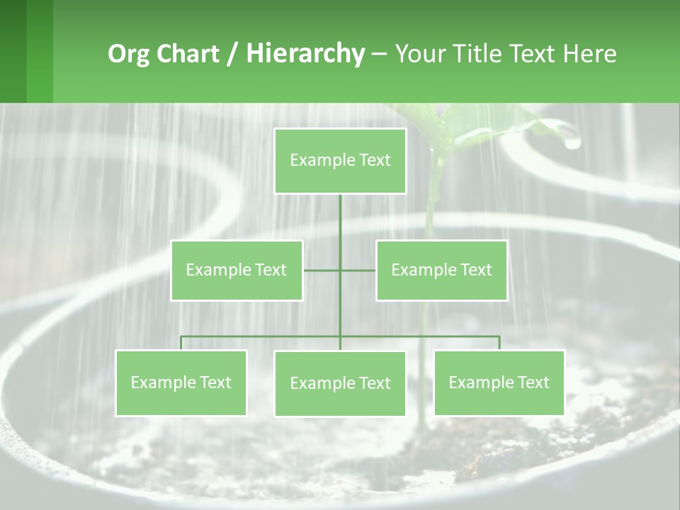 A Plant Sprouting From A Pot With Rain Coming From It PowerPoint Template