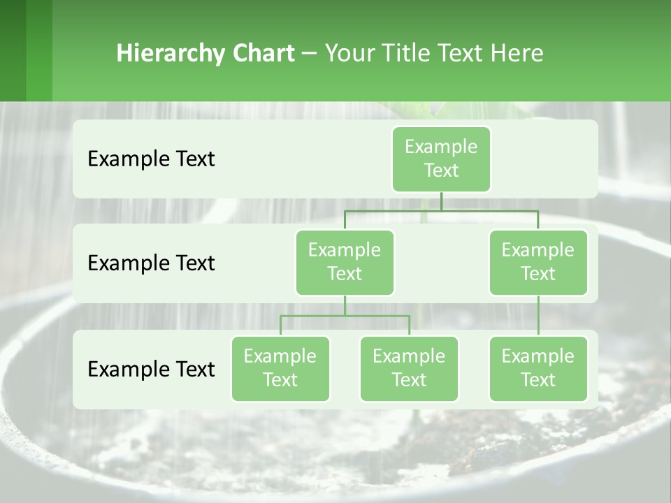 A Plant Sprouting From A Pot With Rain Coming From It PowerPoint Template