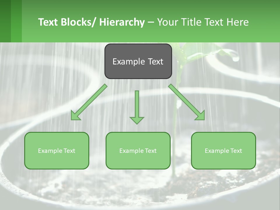 A Plant Sprouting From A Pot With Rain Coming From It PowerPoint Template