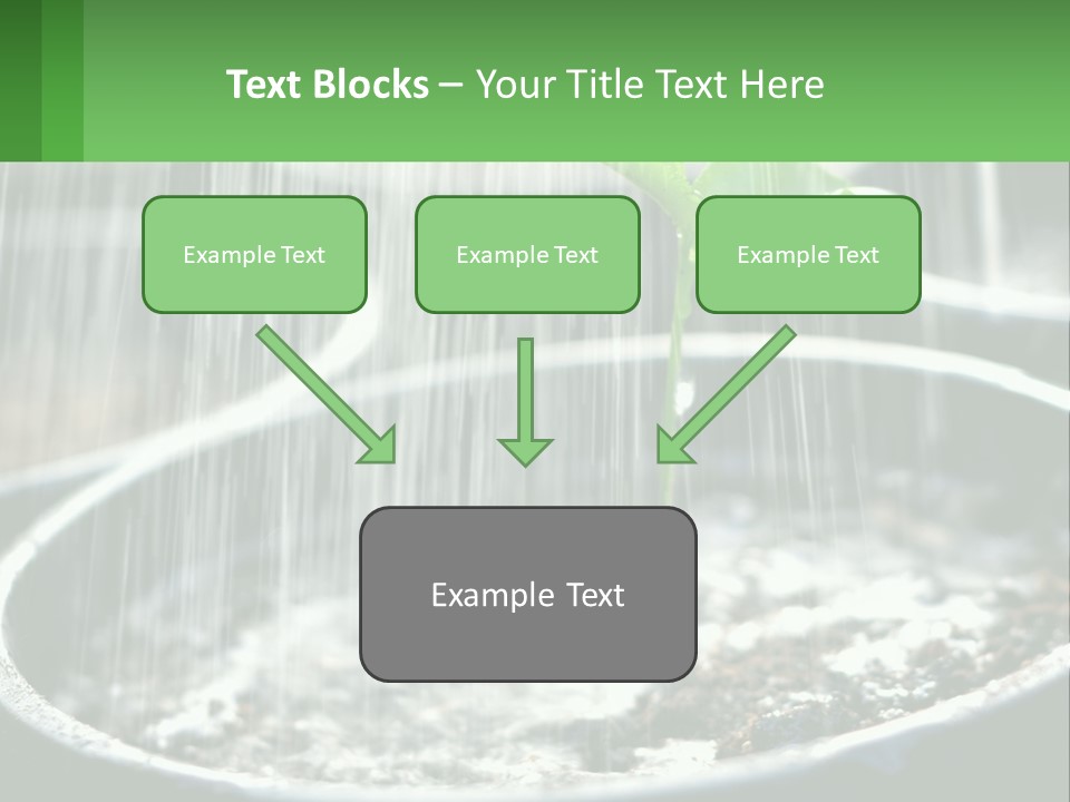 A Plant Sprouting From A Pot With Rain Coming From It PowerPoint Template