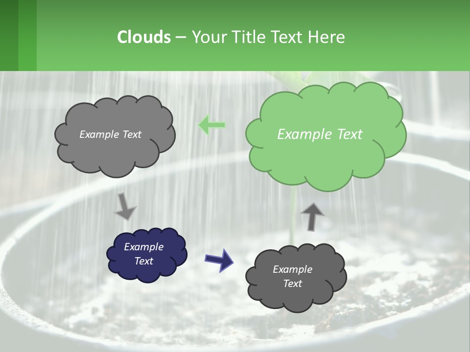 A Plant Sprouting From A Pot With Rain Coming From It PowerPoint Template
