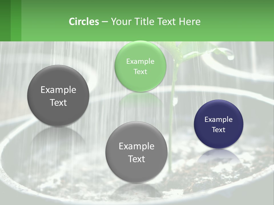 A Plant Sprouting From A Pot With Rain Coming From It PowerPoint Template