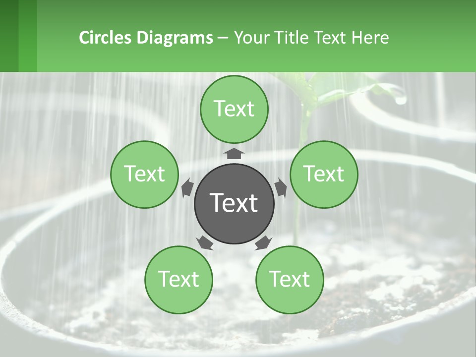 A Plant Sprouting From A Pot With Rain Coming From It PowerPoint Template