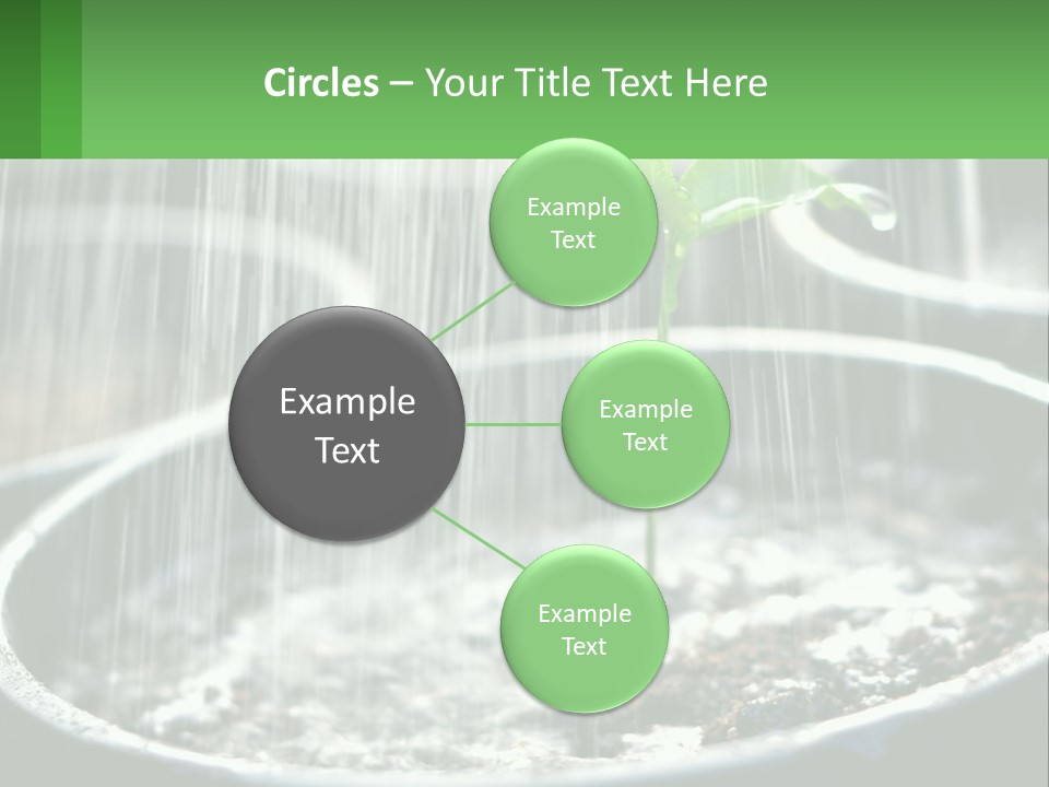A Plant Sprouting From A Pot With Rain Coming From It PowerPoint Template