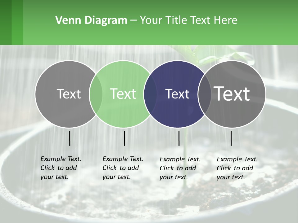 A Plant Sprouting From A Pot With Rain Coming From It PowerPoint Template