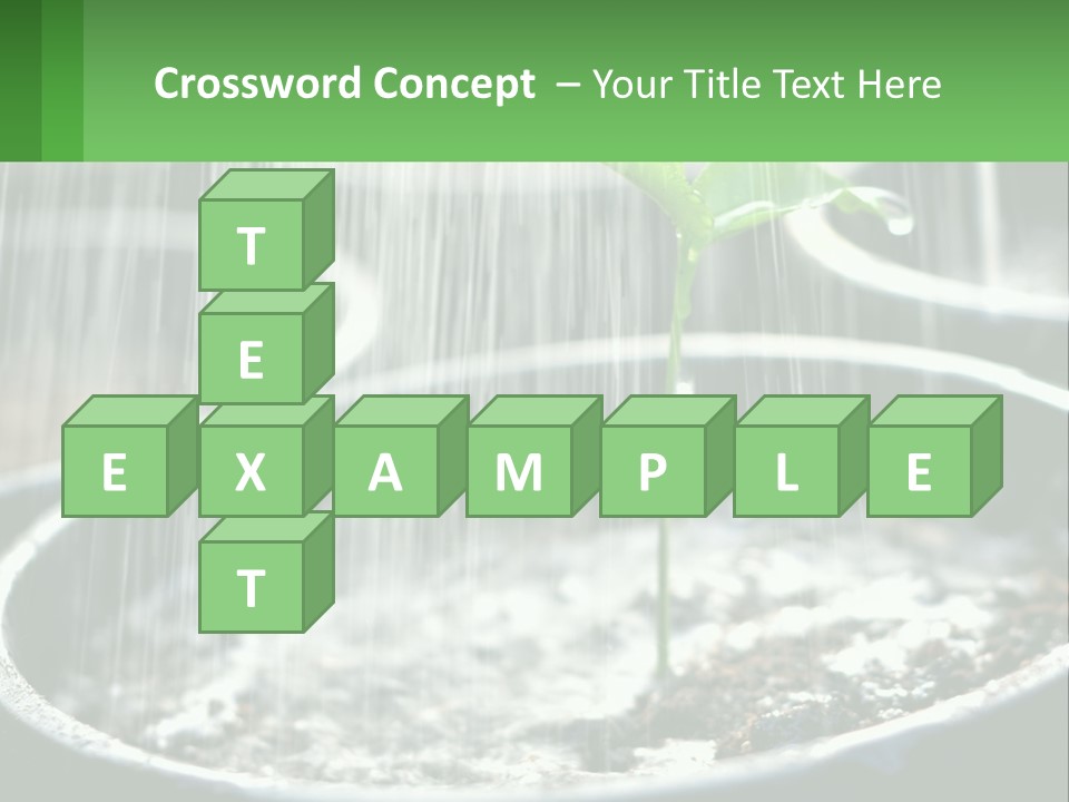 A Plant Sprouting From A Pot With Rain Coming From It PowerPoint Template