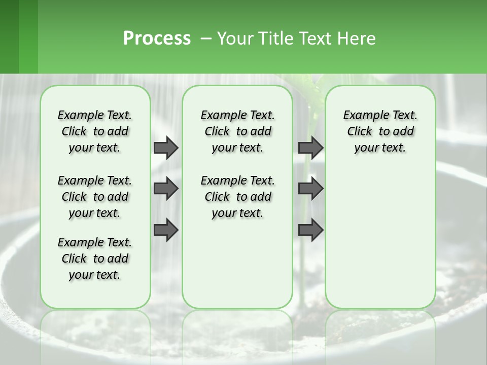 A Plant Sprouting From A Pot With Rain Coming From It PowerPoint Template