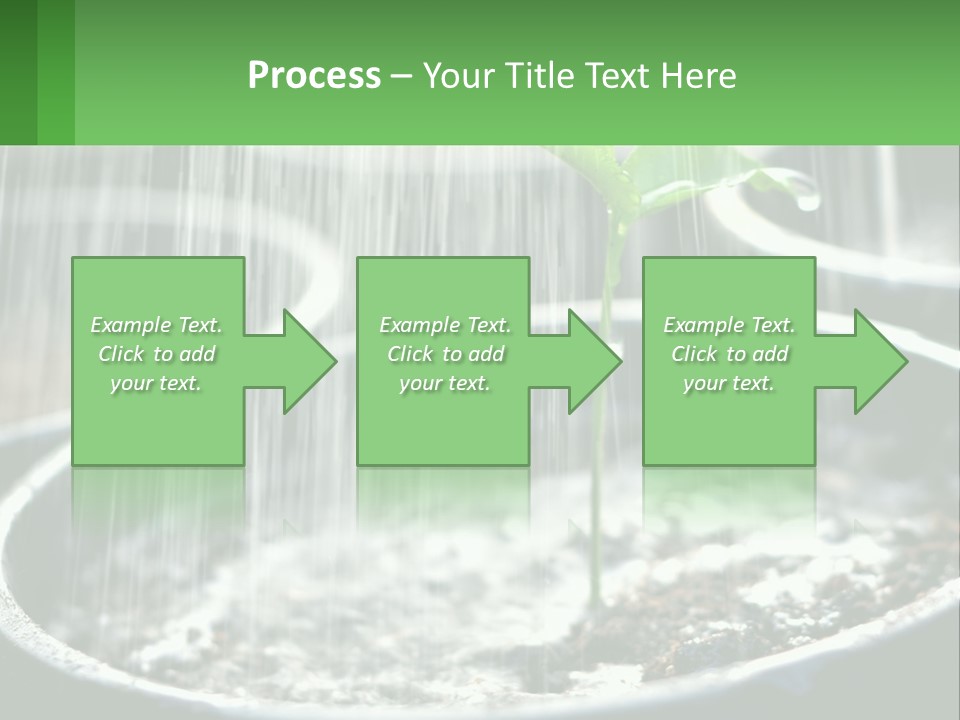 A Plant Sprouting From A Pot With Rain Coming From It PowerPoint Template