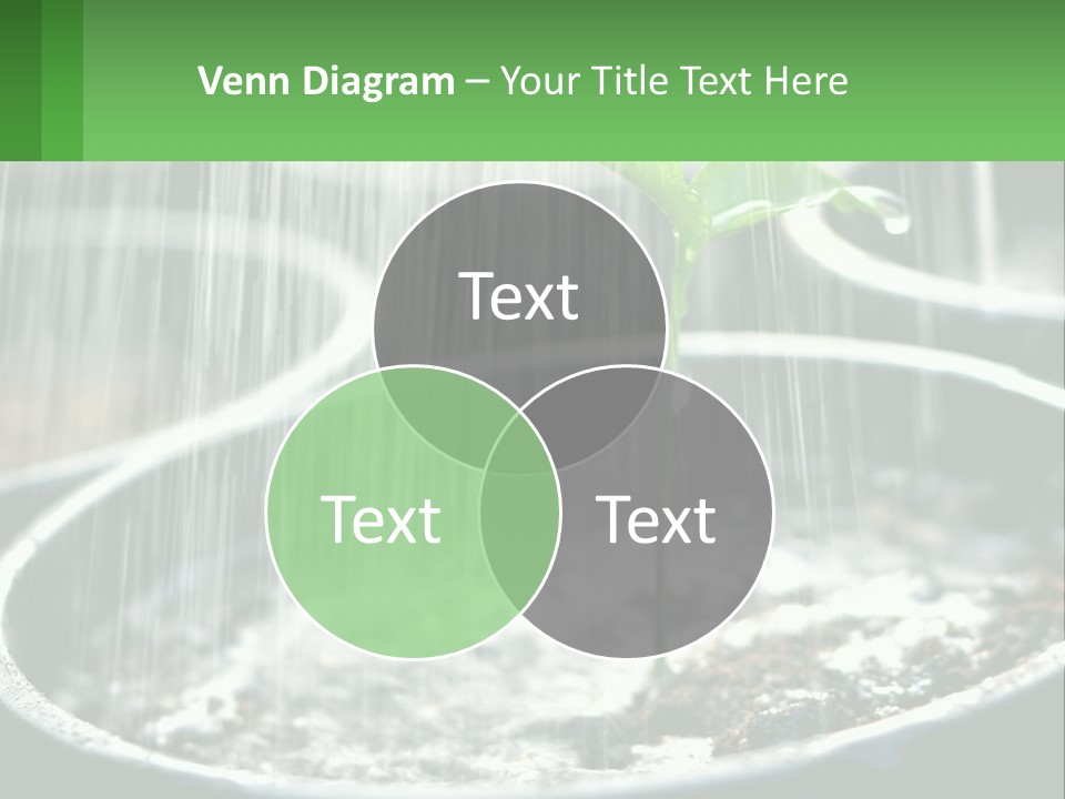 A Plant Sprouting From A Pot With Rain Coming From It PowerPoint Template