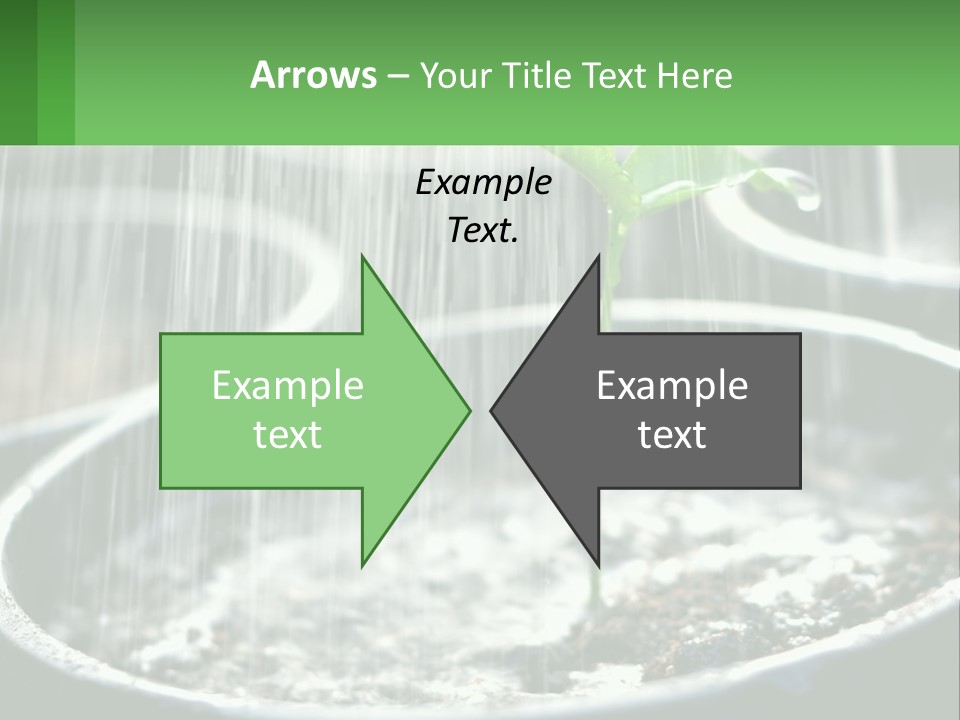 A Plant Sprouting From A Pot With Rain Coming From It PowerPoint Template