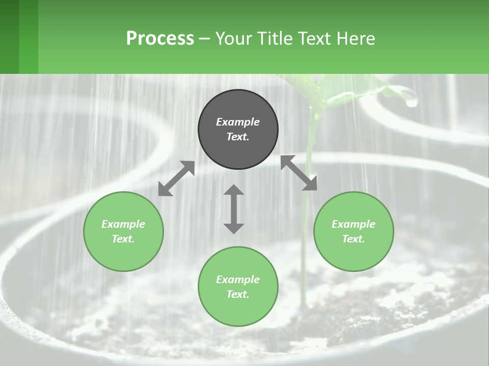 A Plant Sprouting From A Pot With Rain Coming From It PowerPoint Template
