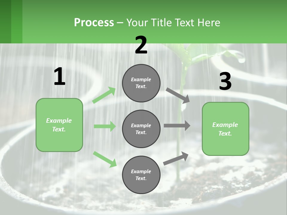 A Plant Sprouting From A Pot With Rain Coming From It PowerPoint Template