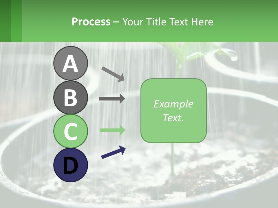 A Plant Sprouting From A Pot With Rain Coming From It PowerPoint Template