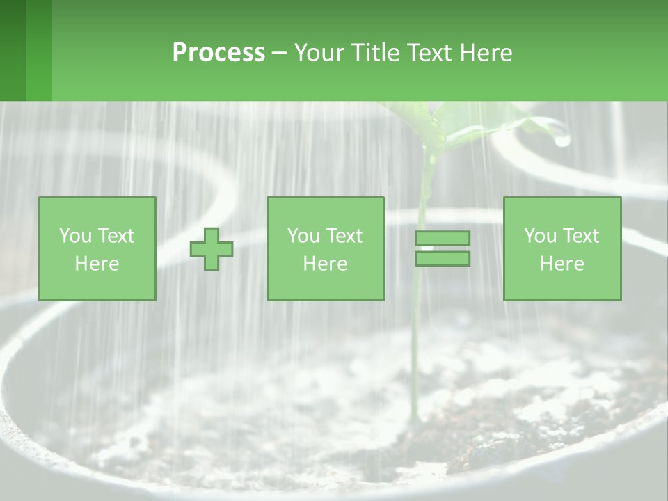 A Plant Sprouting From A Pot With Rain Coming From It PowerPoint Template