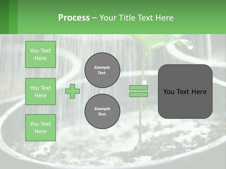 A Plant Sprouting From A Pot With Rain Coming From It PowerPoint Template