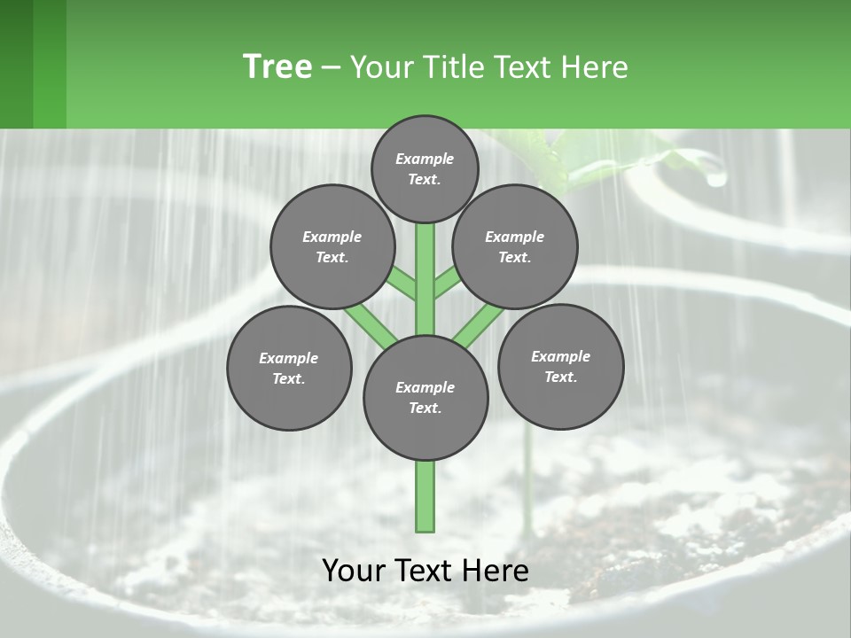A Plant Sprouting From A Pot With Rain Coming From It PowerPoint Template