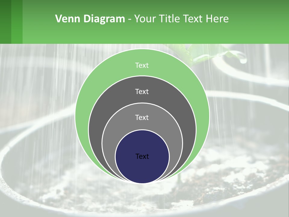 A Plant Sprouting From A Pot With Rain Coming From It PowerPoint Template