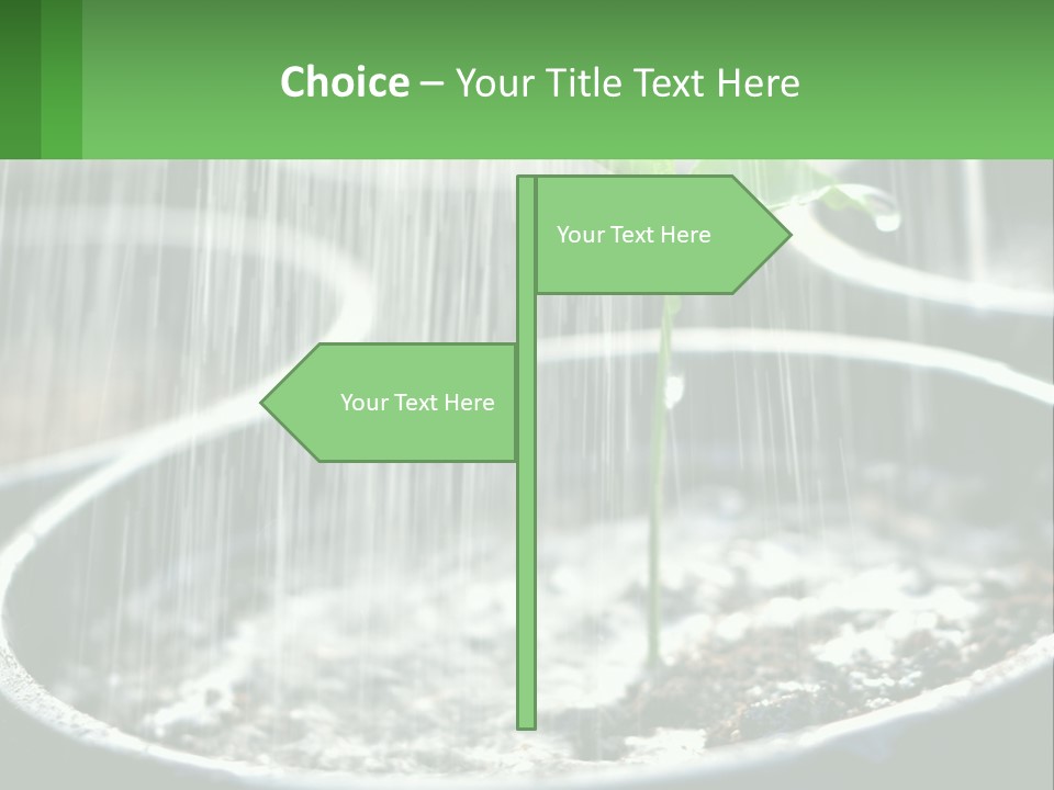 A Plant Sprouting From A Pot With Rain Coming From It PowerPoint Template