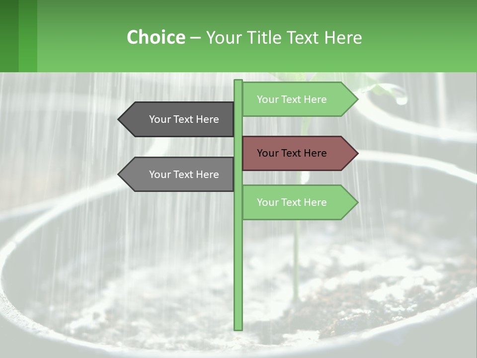 A Plant Sprouting From A Pot With Rain Coming From It PowerPoint Template