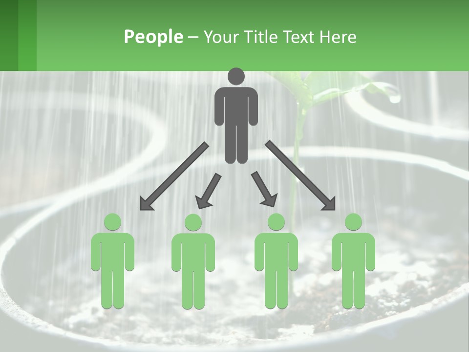 A Plant Sprouting From A Pot With Rain Coming From It PowerPoint Template
