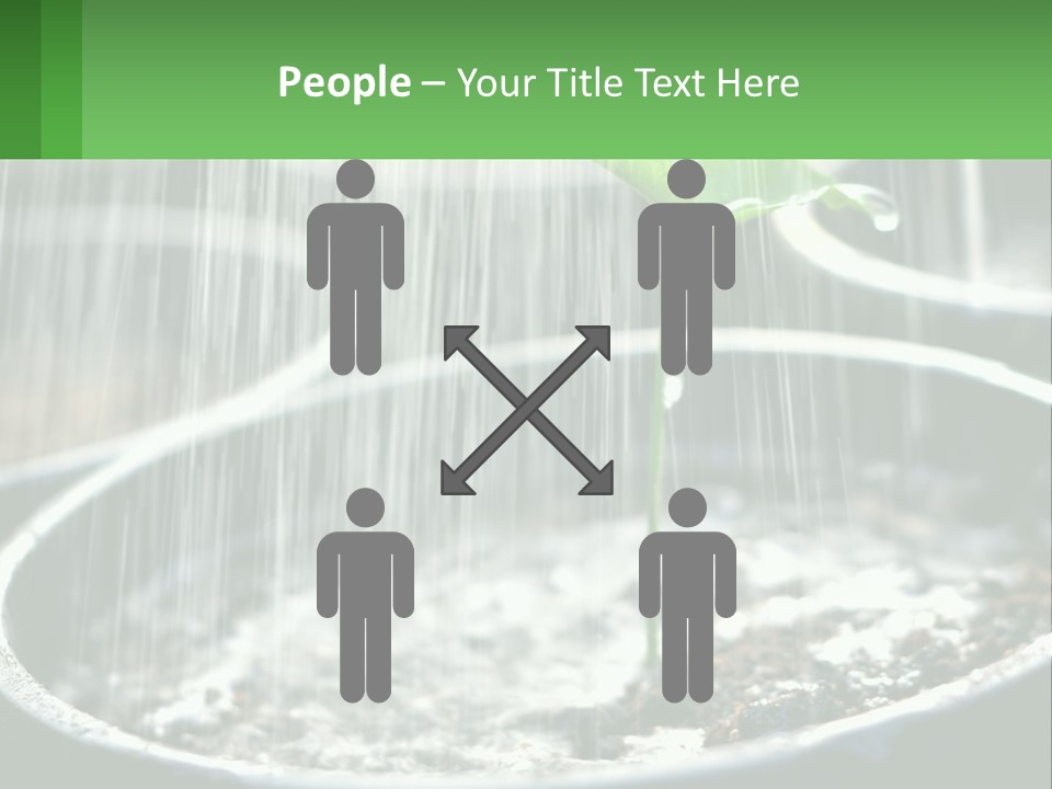 A Plant Sprouting From A Pot With Rain Coming From It PowerPoint Template