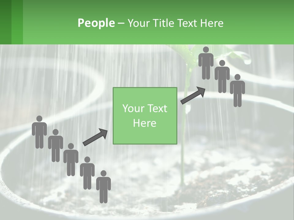 A Plant Sprouting From A Pot With Rain Coming From It PowerPoint Template