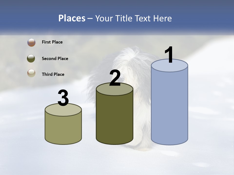 A Dog Is Standing In The Snow On A Sunny Day PowerPoint Template