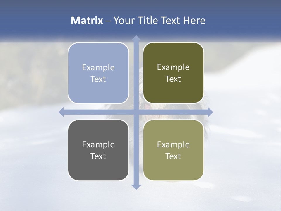 A Dog Is Standing In The Snow On A Sunny Day PowerPoint Template