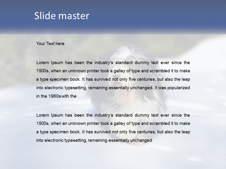 A Dog Is Standing In The Snow On A Sunny Day PowerPoint Template