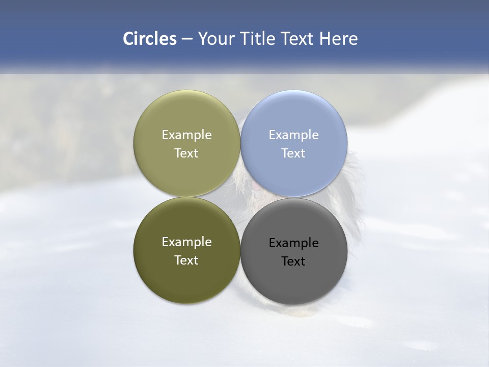 A Dog Is Standing In The Snow On A Sunny Day PowerPoint Template