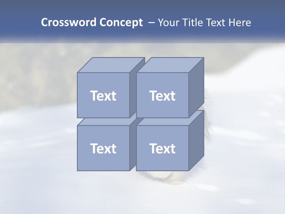 A Dog Is Standing In The Snow On A Sunny Day PowerPoint Template